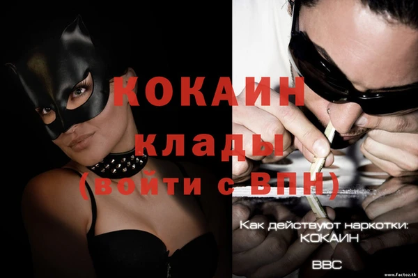 тгк Белокуриха
