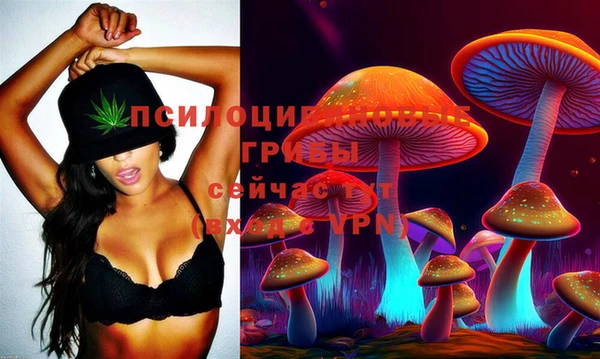 PSILOCYBIN Белоозёрский