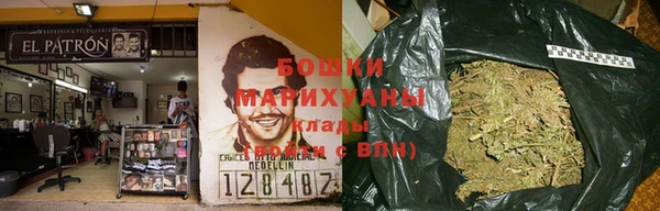 тгк Белокуриха