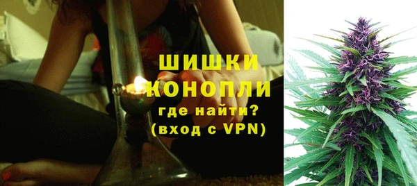 PSILOCYBIN Белоозёрский