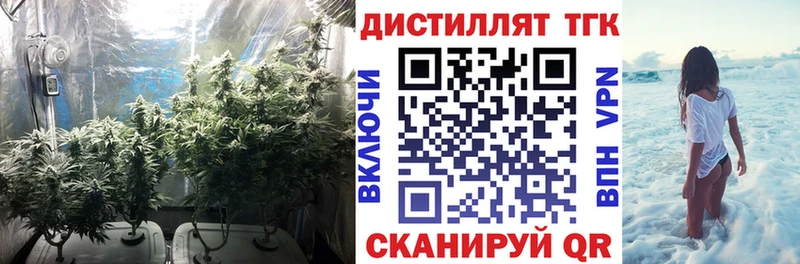 Дистиллят ТГК концентрат  Купить закладки  Гаджиево 